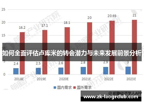 如何全面评估卢库米的转会潜力与未来发展前景分析