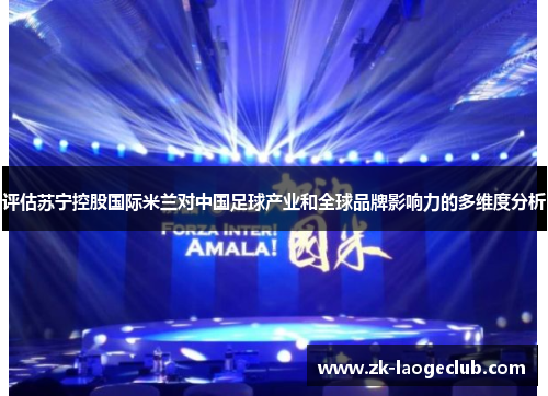 评估苏宁控股国际米兰对中国足球产业和全球品牌影响力的多维度分析 评估苏宁控股国际米兰对中国足球产业和全球品牌影响力的多维度分析